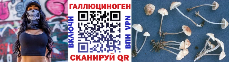 мега как зайти  Горнозаводск  Галлюциногенные грибы GOLDEN TEACHER 