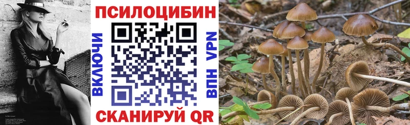 Галлюциногенные грибы мицелий Горнозаводск